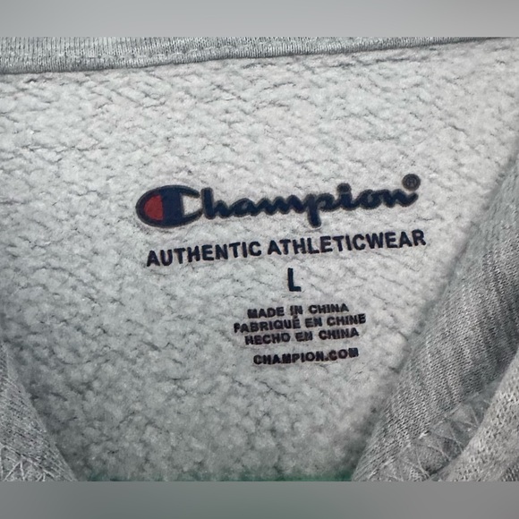 CHAMPION Boys Large Gray Mountain Athleticwear Hooded Sweatshirt with Pockets - Picture 2 of 4
